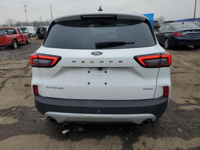 2023 Ford Escape Active