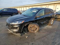 Salvage cars for sale at Louisville, KY auction: 2022 Ford Escape SE