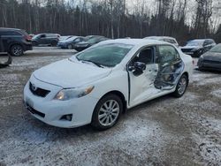 Salvage cars for sale at Cookstown, ON auction: 2010 Toyota Corolla Base