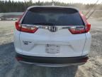 2019 Honda CR-V EXL