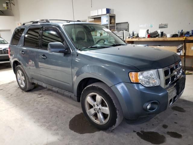 2012 Ford Escape Limited