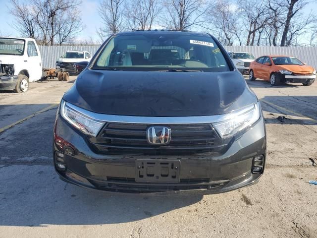 2024 Honda Odyssey EXL