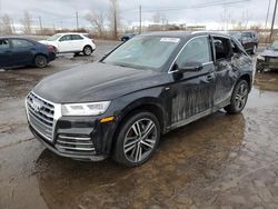 Audi salvage cars for sale: 2020 Audi Q5 Titanium Prestige