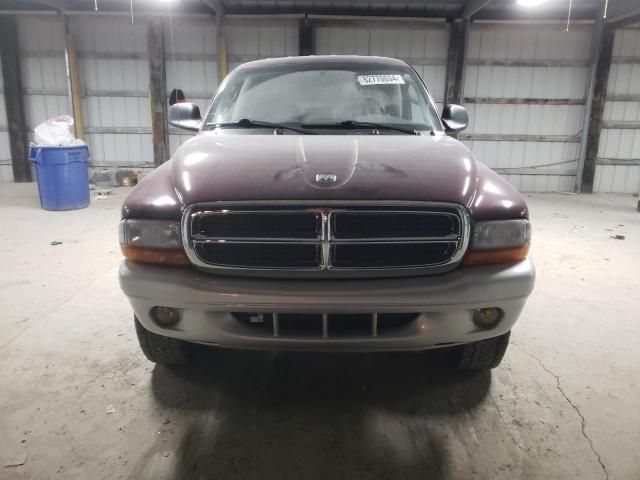 2003 Dodge Dakota Quad SLT