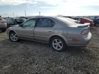 2000 Nissan Maxima GLE