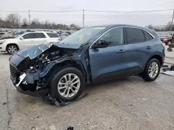 Salvage SUVs for sale at auction: 2020 Ford Escape SE