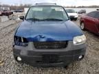 2007 Ford Escape XLT