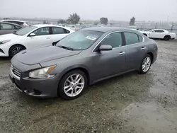 Salvage cars for sale at Antelope, CA auction: 2014 Nissan Maxima S