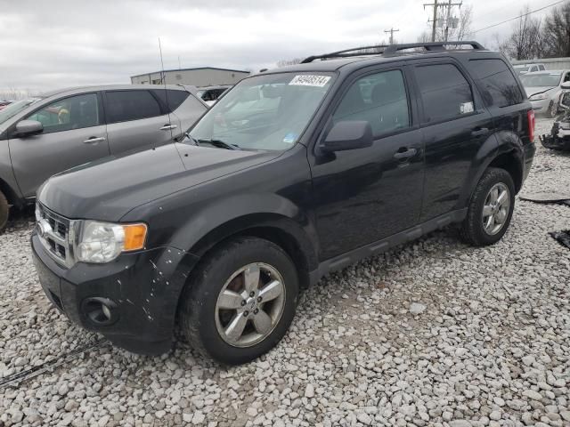 2011 Ford Escape XLT