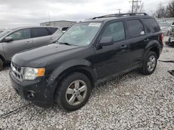 2011 Ford Escape XLT en venta en Wayland, MI