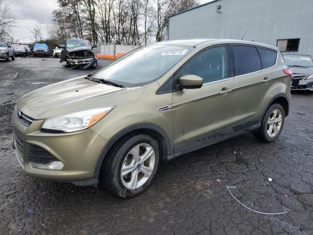 2013 Ford Escape SE