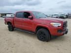 2019 Toyota Tacoma Double Cab