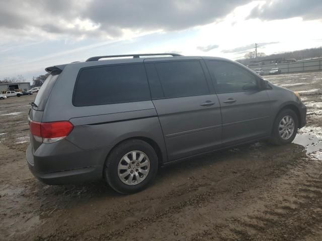 2009 Honda Odyssey EXL