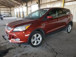 Ford salvage cars for sale: 2015 Ford Escape SE