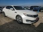 2012 KIA Optima Hybrid