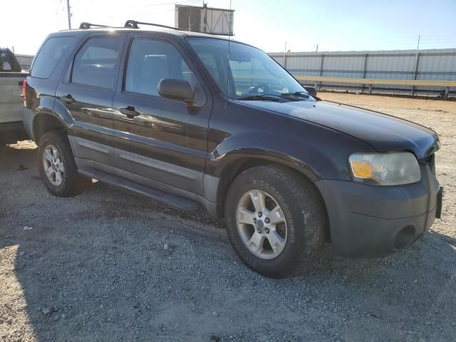 2005 Ford Escape XLT