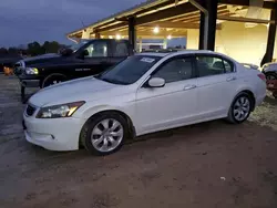 Honda Accord exl salvage cars for sale: 2009 Honda Accord EXL