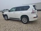 2019 Lexus GX 460