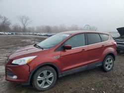 Salvage cars for sale at Des Moines, IA auction: 2015 Ford Escape SE