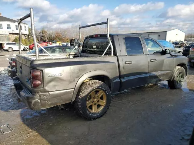 2010 Dodge Dakota SXT