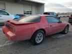 1991 Pontiac Firebird Base