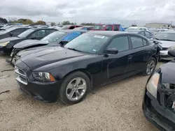 Dodge salvage cars for sale: 2012 Dodge Charger SE