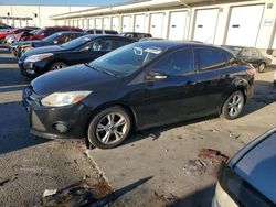 2014 Ford Focus SE en venta en Louisville, KY