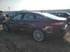 2013 Ford Fusion SE Hybrid