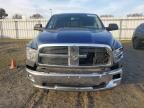 2009 Dodge RAM 1500