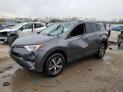 Salvage cars for sale at Louisville, KY auction: 2017 Toyota Rav4 XLE