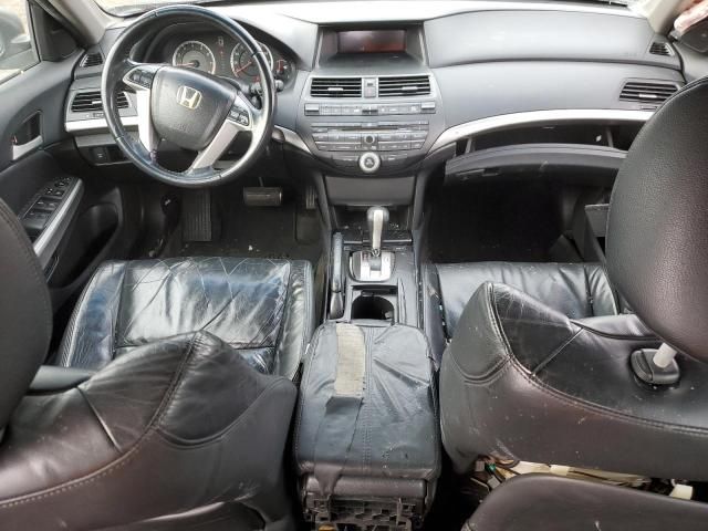 2009 Honda Accord EXL