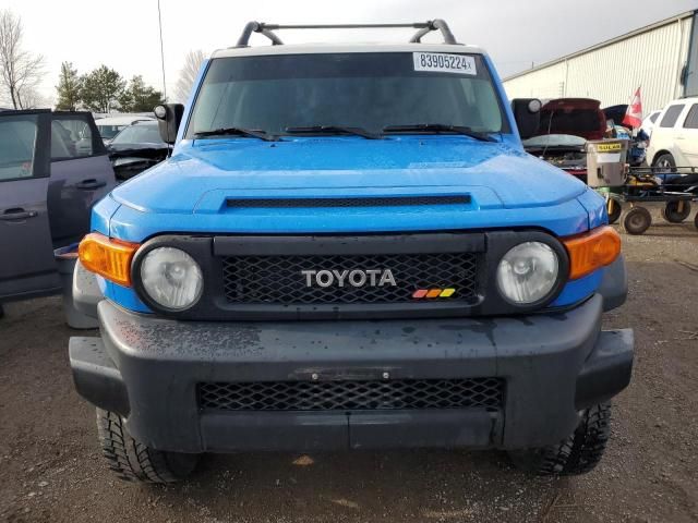 2007 Toyota FJ Cruiser