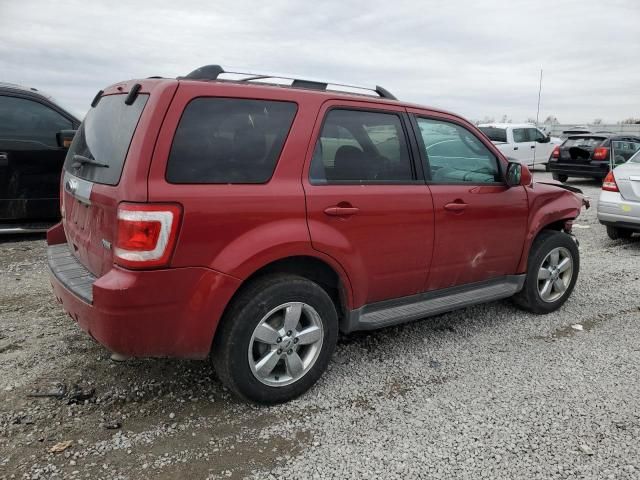 2011 Ford Escape Limited