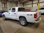 2007 Dodge Dakota Quad SLT