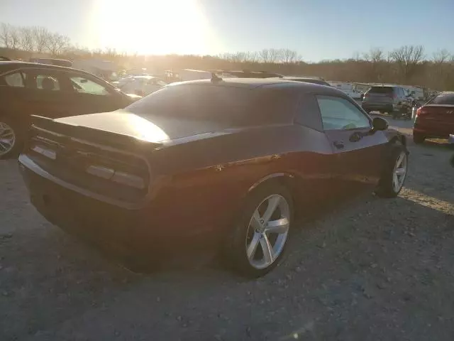 2020 Dodge Challenger R/T