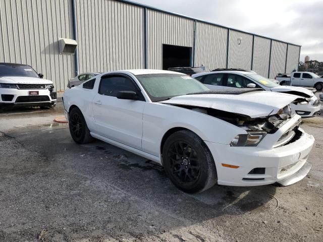 2013 Ford Mustang