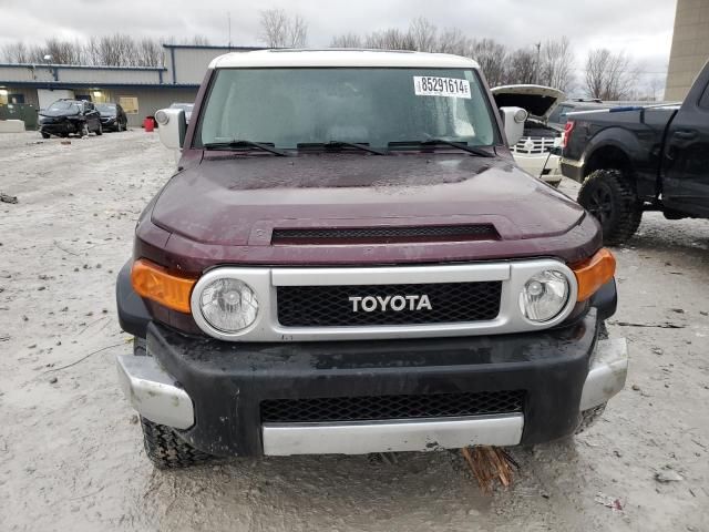 2007 Toyota FJ Cruiser