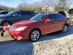 Lexus salvage cars for sale: 2010 Lexus ES 350