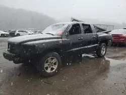 Salvage cars for sale at Ellwood City, PA auction: 2009 Dodge Dakota SXT