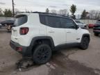 2018 Jeep Renegade Trailhawk