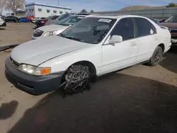 Salvage cars for sale at Albuquerque, NM auction: 1996 Honda Accord EX