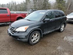 Salvage cars for sale at Cookstown, ON auction: 2011 Honda CR-V EXL