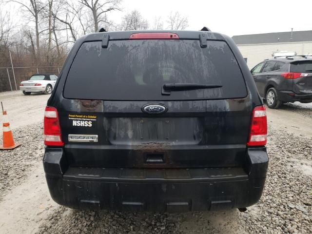 2010 Ford Escape XLT