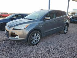 Salvage cars for sale at Phoenix, AZ auction: 2013 Ford Escape SEL