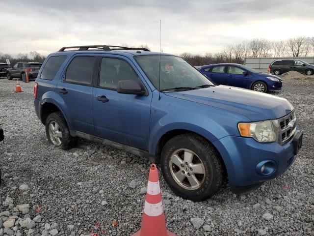 2009 Ford Escape XLT