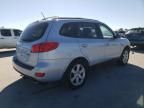 2007 Hyundai Santa FE SE