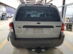 2005 Ford Escape XLT