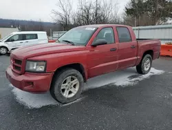 Dodge Dakota salvage cars for sale: 2010 Dodge Dakota SXT