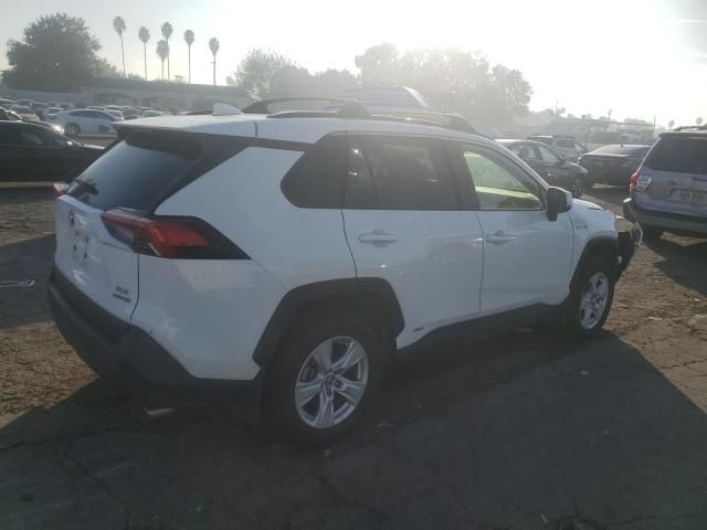 2019 Toyota Rav4 XLE