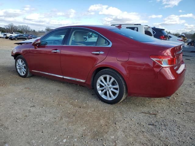 2010 Lexus ES 350